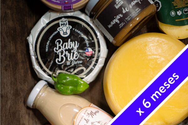Selección de quesos gourmet BOX1 con 5 productos lácteos premium del sur de Chile 6