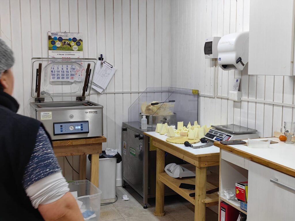 Vista de la quesería artesanal de Oveja Vasca en Cunco, rodeada por el paisaje natural del sur de Chile, donde se elaboran los quesos con métodos tradicionales.