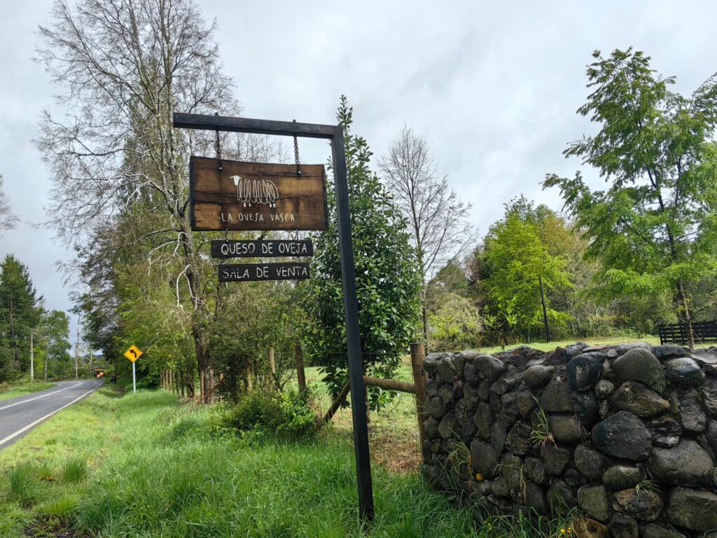 Quesos que conectan el paisaje de pastoreo de las ovejas Latxa con la quesería de Oveja Vasca en Cunco, ilustrando el origen local e integrado del producto.